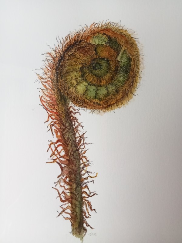 Botanical Art Exhibition