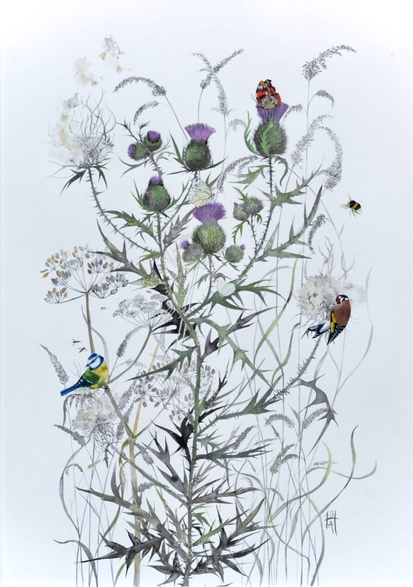 Botanical Art Exhibition