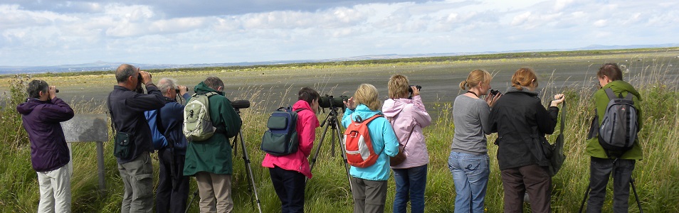 Birdwatching for Beginners