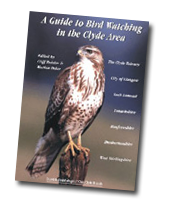 A-guide-to-birdwatching-in-the-Clyde-area
