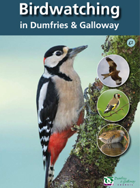 birdwatching-in-dumfries-and-galloway-4th-edition-guide