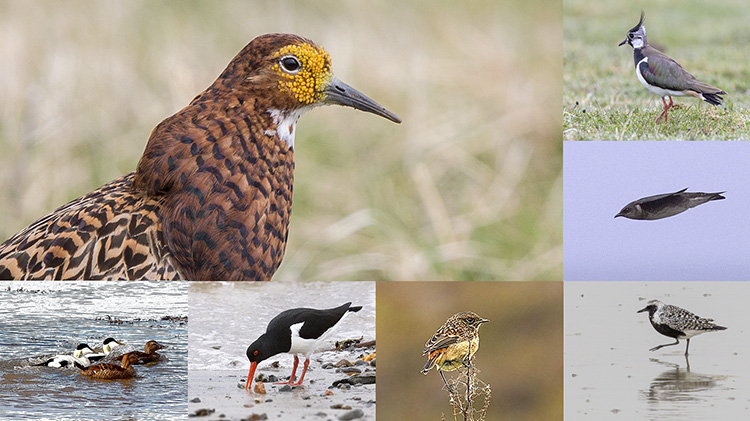 © Hebridean Imaging