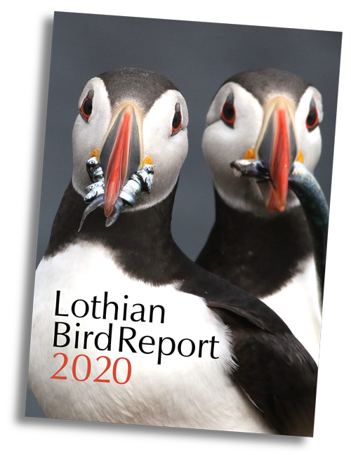2017 Lothian Bird Report