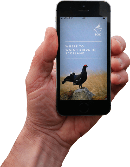 The SOC Birdwatching APP