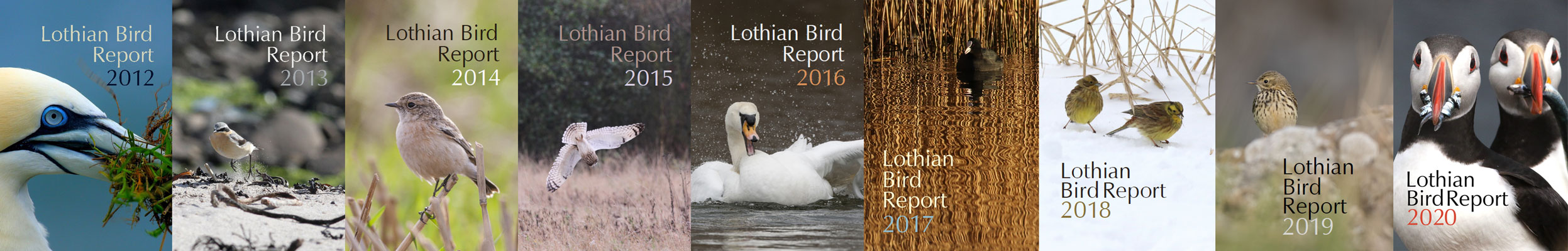 Lothian Bird Report Covers Lothian Bird Report Covers