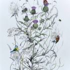 Botanical Art Exhibition