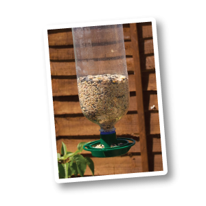 Bottle Top Bird Feeder
