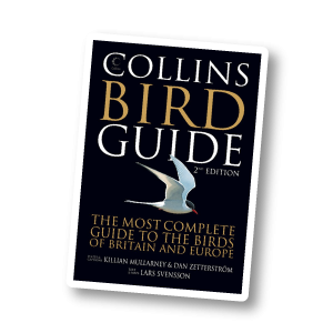 Collins Bird Guide*